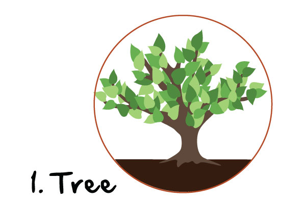 The Discipling Tree Series: A Close Brush with Life